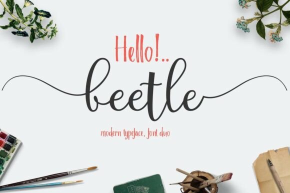 Beetle Duo Font: A Modern Typeface for Whimsical Branding
