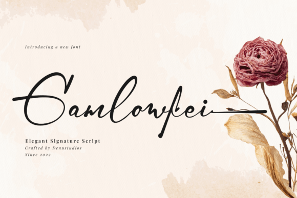 Elevate Your Brand with the Gamlowfei Signature Script