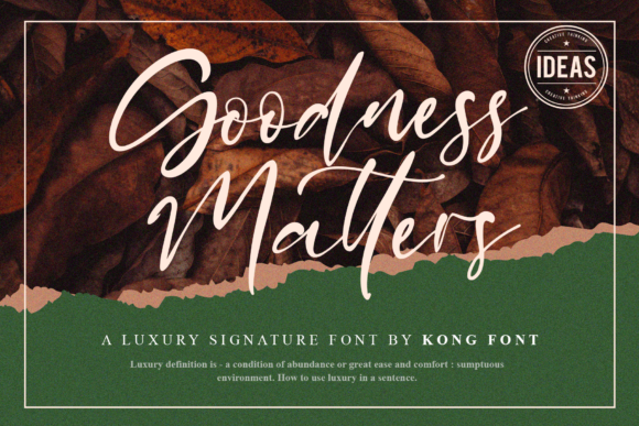 Goodness Matters: A Playful Script for Modern Designers