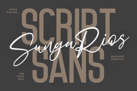Sungarios: A Duo Font for Timeless Branding
